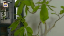 Shikwa - Episode 23 - 7th May 2025